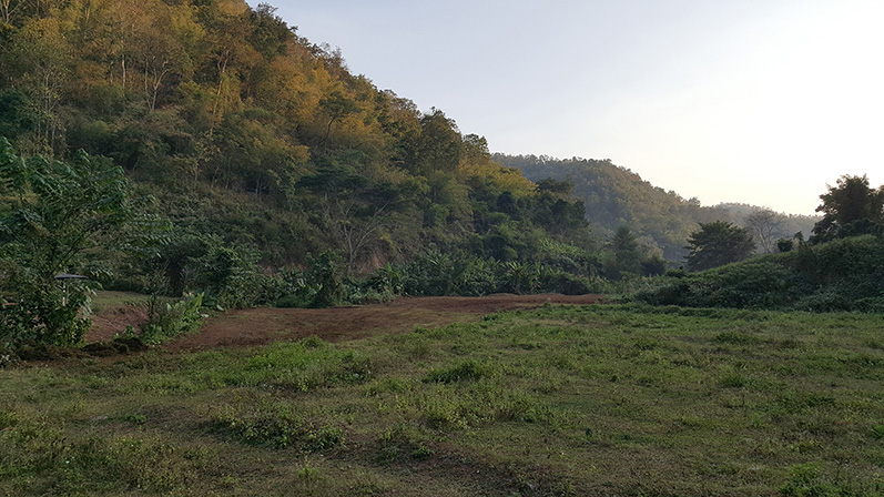 Land view with tree line and hillside